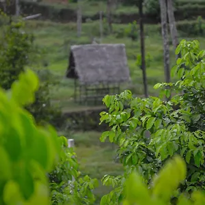 Resort Into The Roots Farm